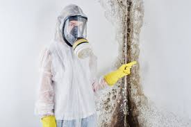 Best Residential Mold Inspection & Testing  in Williams, CA